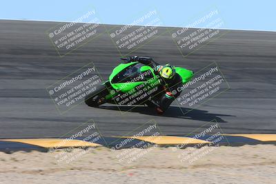 media/Mar-10-2024-SoCal Trackdays (Sun) [[6228d7c590]]/2-Bowl (10am)/